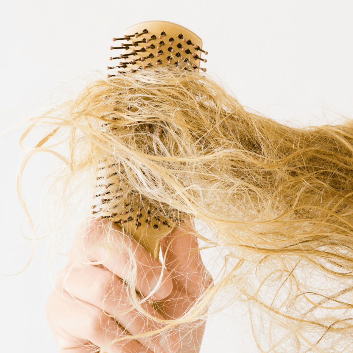 Why Hair Professionals Are Talking About Abril et Nature Molecular Therapy