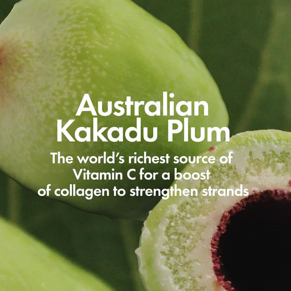 Bondi Boost Anti Frizz Conditioner (500ml)