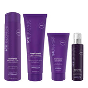 Natural Look Ice Blonde Anti-Yellow Shine Quad Set